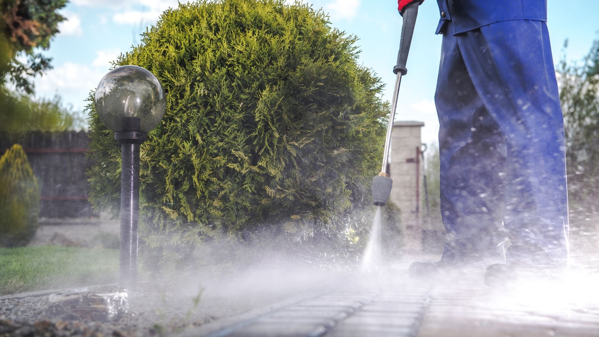 Pressure washer cleaning pavement near green bush and street lamp